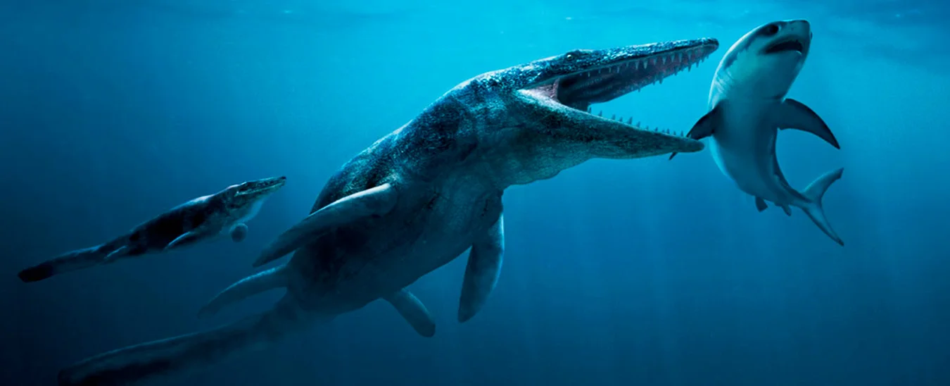 Pliosaurio del Morro Solar en Chorrillos